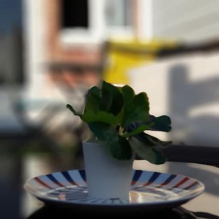 Le Chat Bleu - 26M2- Terrasse Sur Les Toits - Wi-Fi أميا المظهر الخارجي الصورة