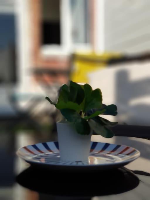 Le Chat Bleu - 26M2- Terrasse Sur Les Toits - Wi-Fi أميا المظهر الخارجي الصورة